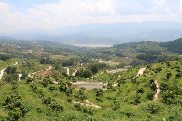 园区美景