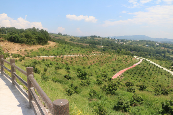 园区美景