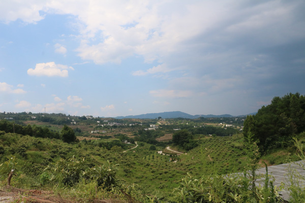 园区美景