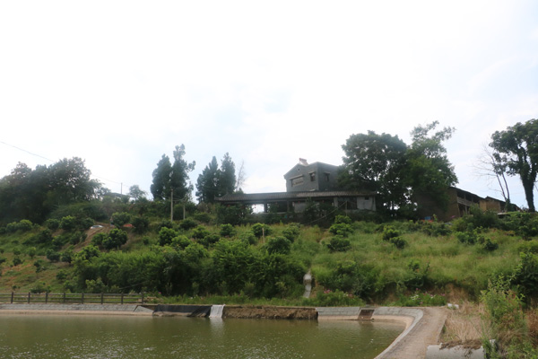 园区美景